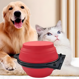 Folding Double Pet Travel Bowl - image 1