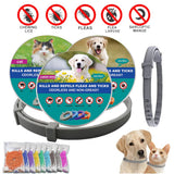 Flea & Tick Collar for Cats and Dogs - image 3