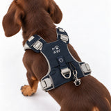 PAW - XS (2-4Kg) Dog Step-in Guardian Harness with Reflective Mesh - Rock Grey - Black Obsidian Charm