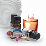 Lavender Essential Oil 10ml - image 4