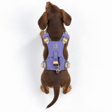 PAW - XS (2-4Kg) Dog Step-in Guardian Harness with Reflective Mesh - Lavender - Amethyst Charm